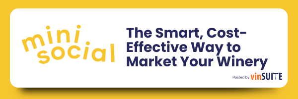MiniSocial 2025 Webinar